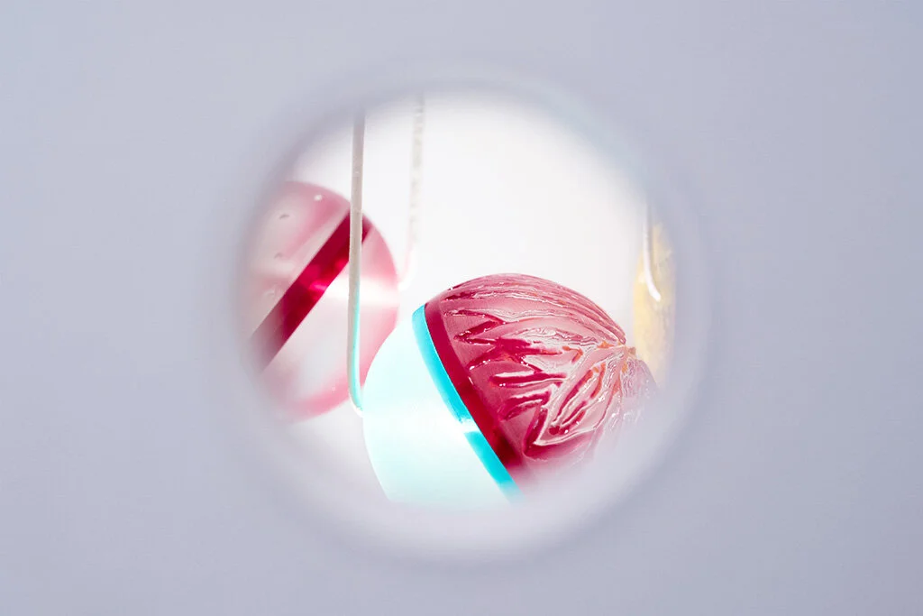 Draw Near in situ, Anna Leonowens Gallery Image by Grace Laemmler