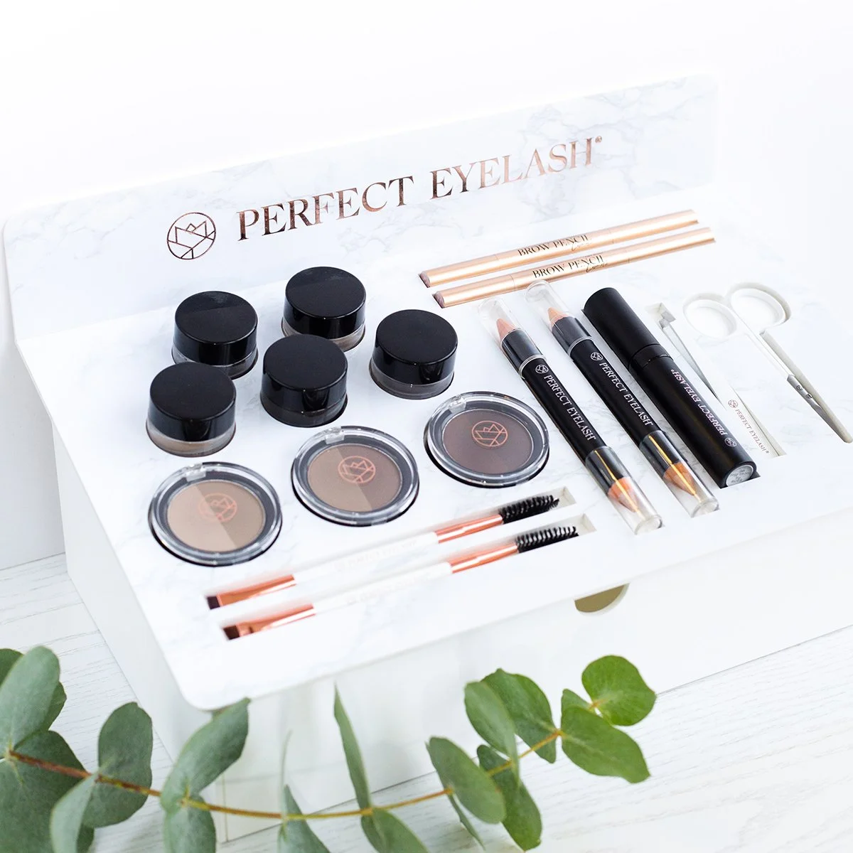 brow_display_2.jpg
