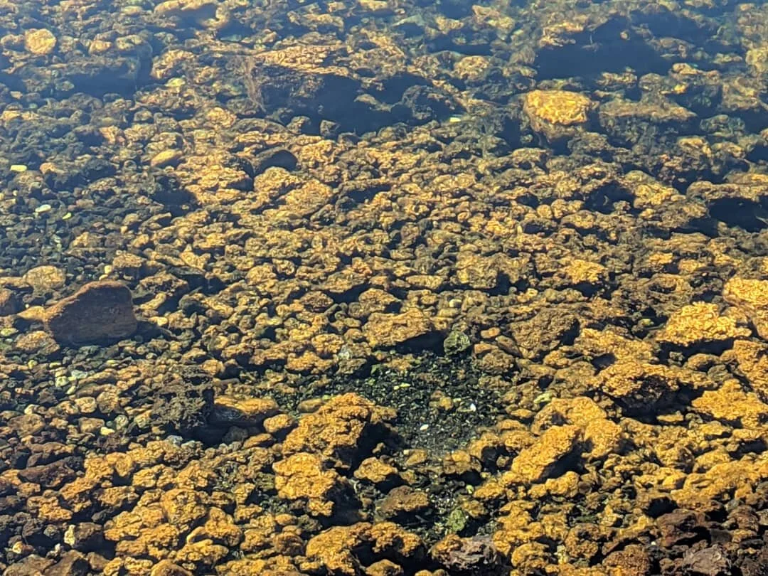  Small round stones are visible at the bottom of a clear tidepool in bright sunlight 