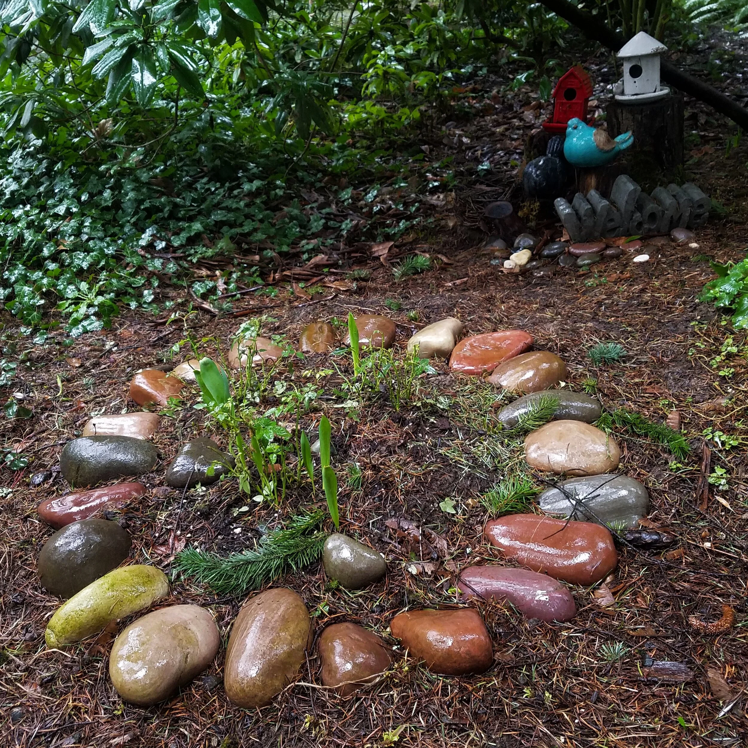  Small plants grow in a circle of colorful smooth stones that are wet from rain 