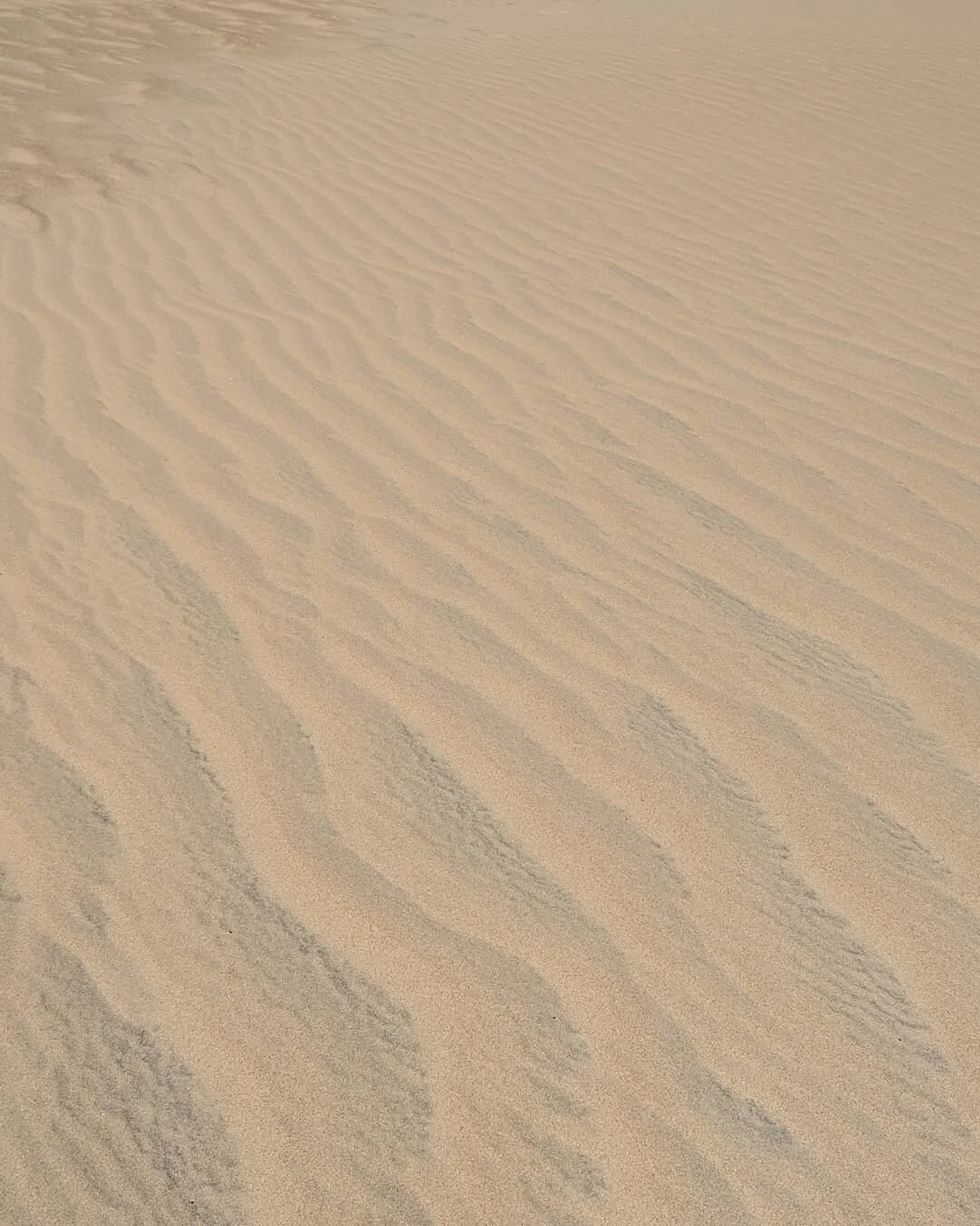  Faint shadows show small waves in a sea of sand 