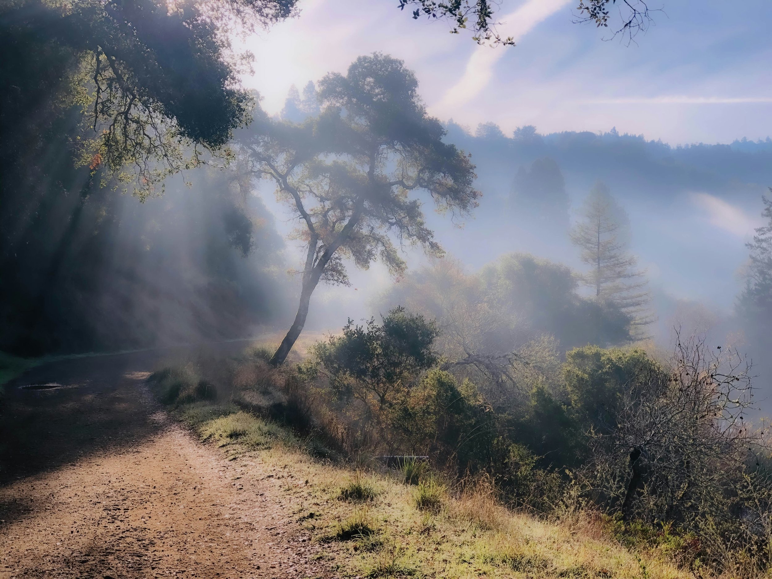 The Wonder of Revelation: Seeking Wisdom from God’s Heart