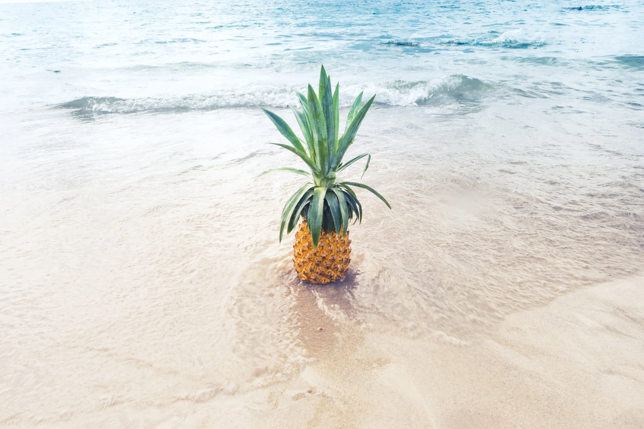 Indulge in the Best Hawaiian Cuisine: 5 Must-Try Foods That Will Leave