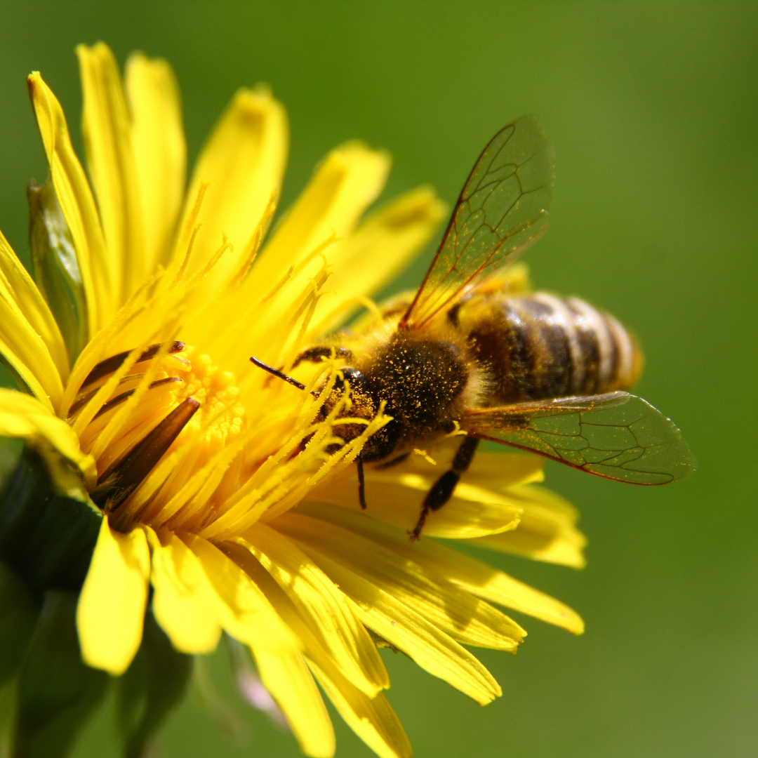 4CBE659E-D728-46F2-8058-346D6A479AEC