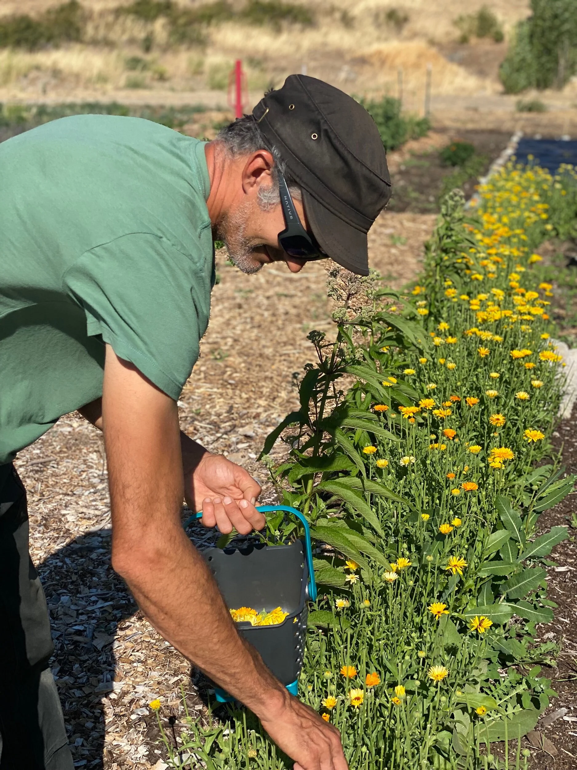 EC622260-4FE6-4EF3-84AA-F9910B006D37