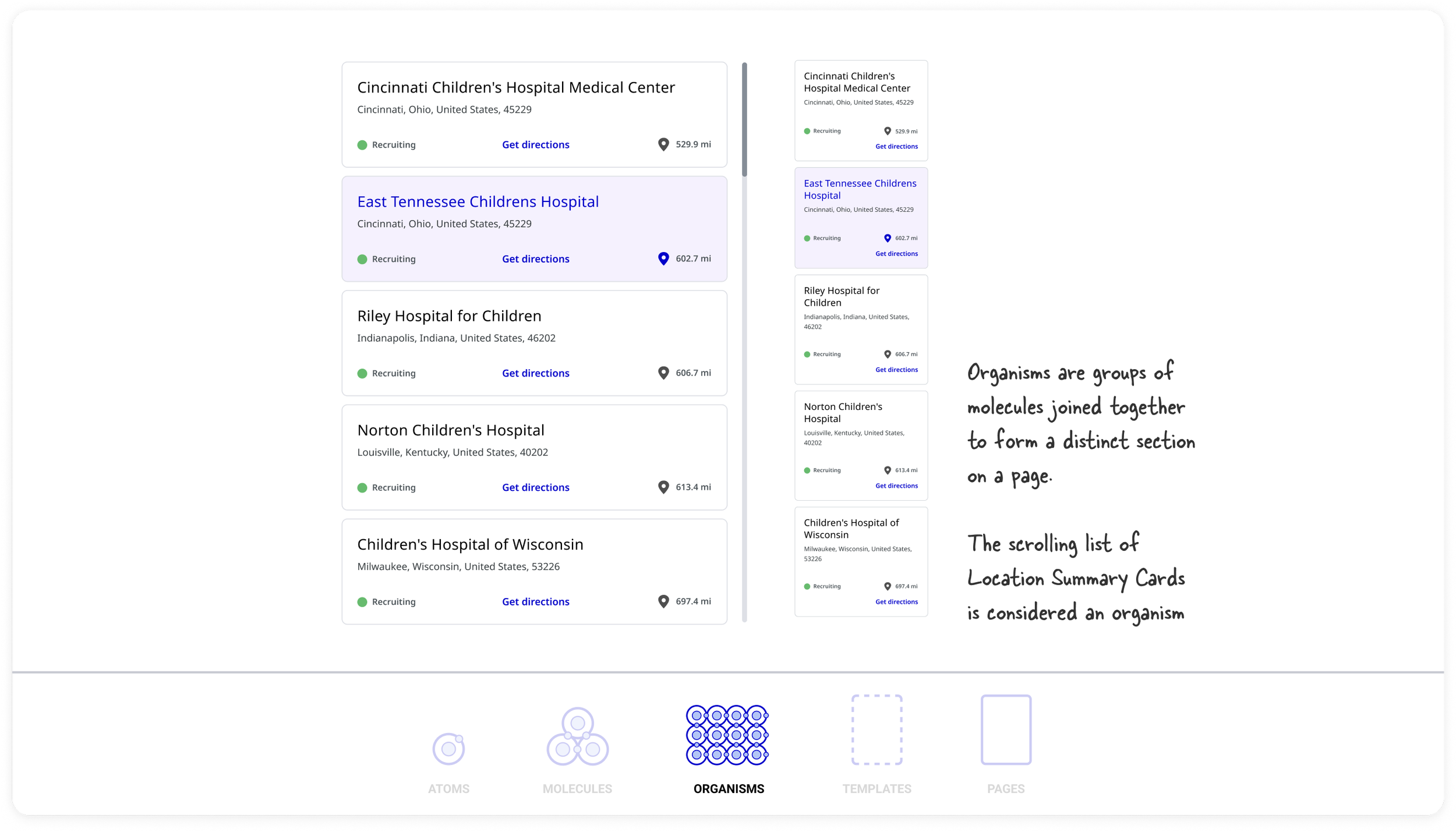 Component detail view (organisms)