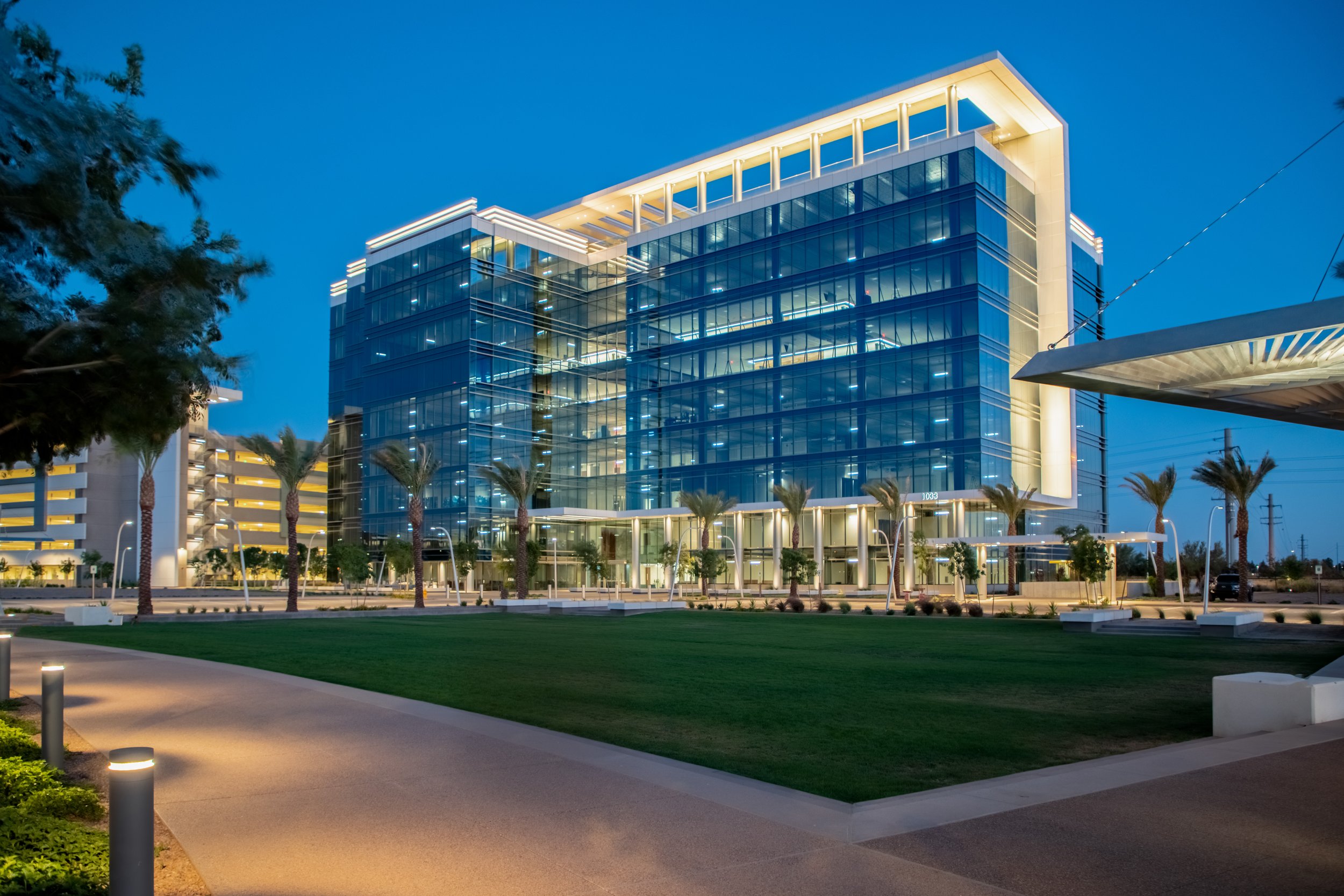 Modern glass office building illuminated at night, with palm trees lining a paved walkway and a well-manicured lawn in the foreground.