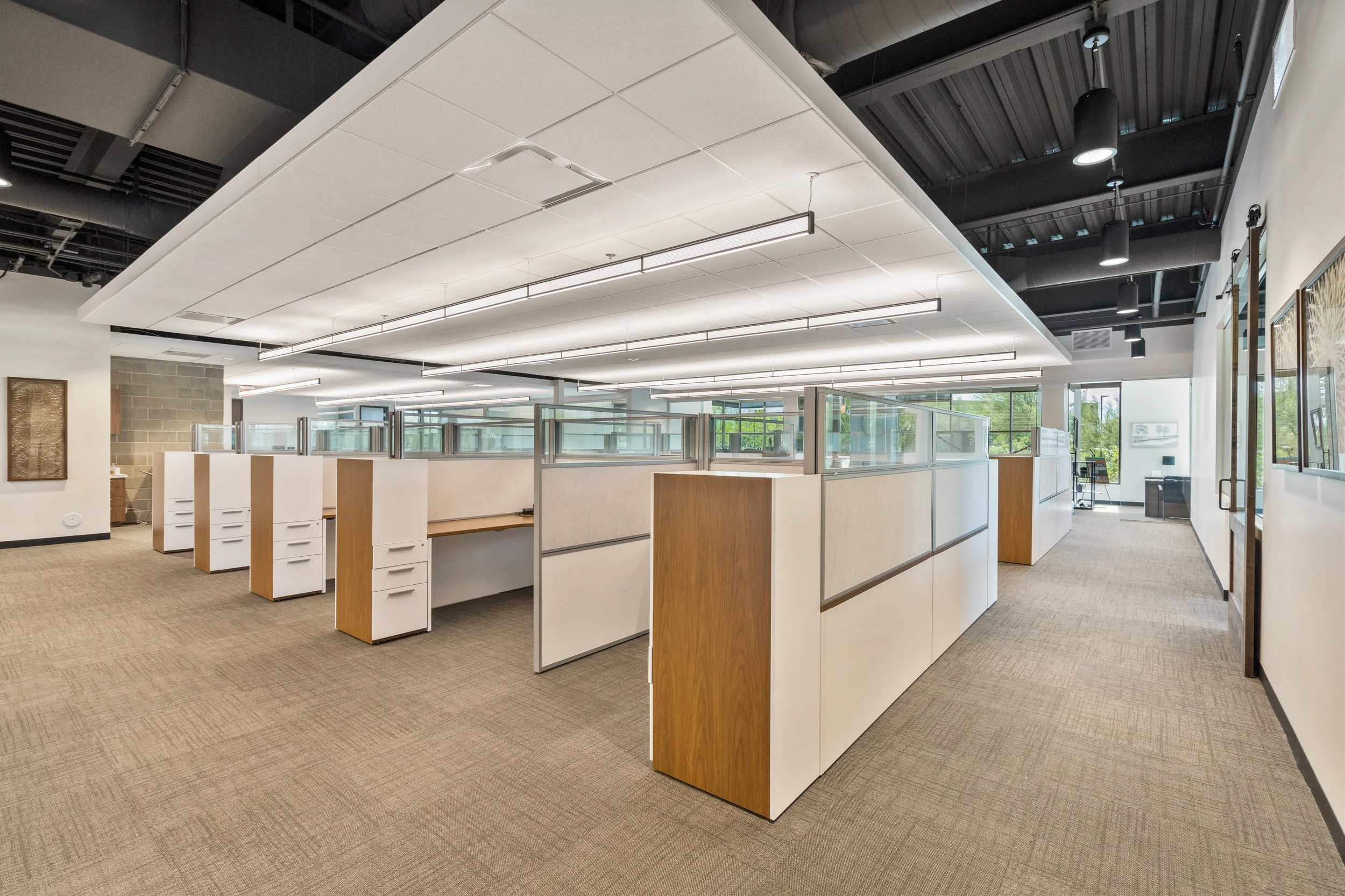 Empty office cubicles with white and wooden panels, fluorescent lighting, and a carpeted floor, large windows with outside greenery, and artwork on the walls.