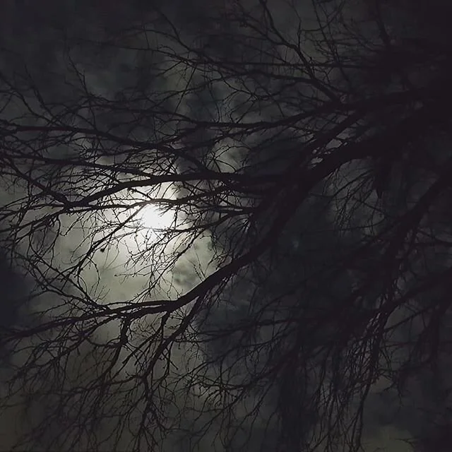 Inspirational photos of the snow moon