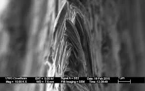 The Beginner's Guide to Whetstone Sharpening — Ethan