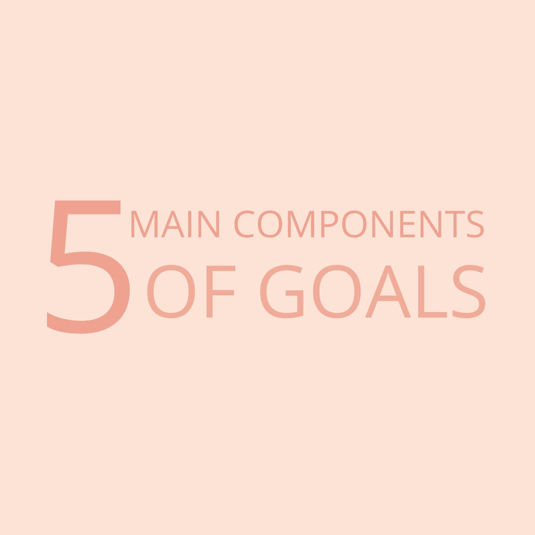 5 Main Components Of Goals