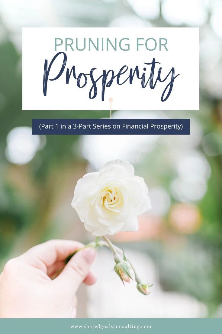 Pruning For Prosperity