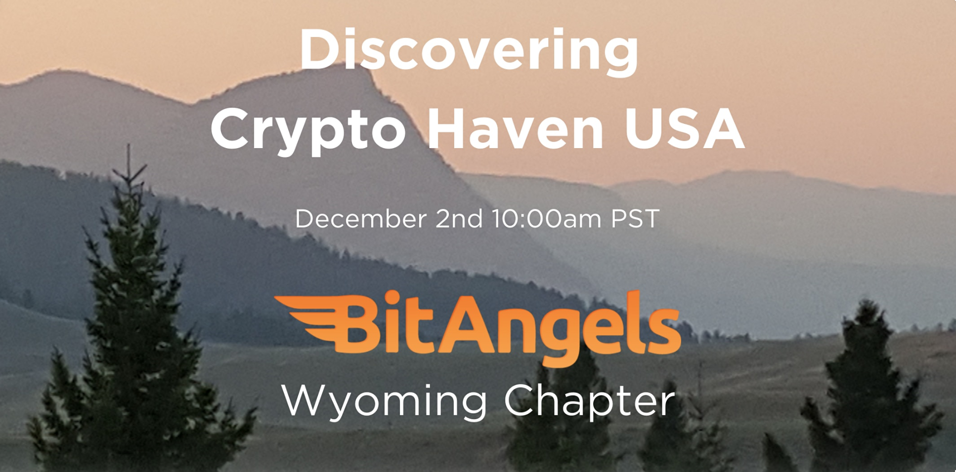 BitAngels Wyoming Virtual Event (December 2020)
