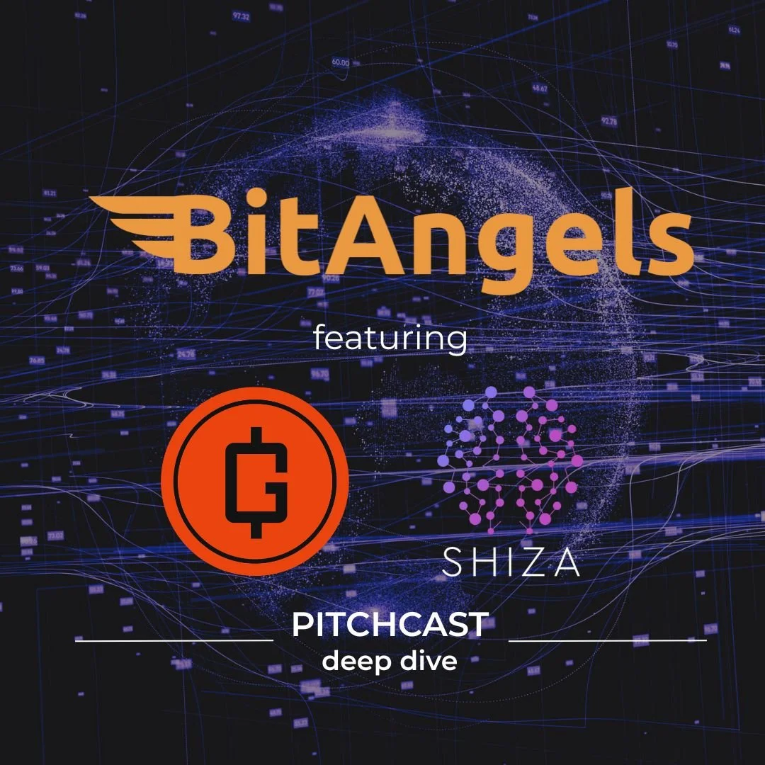 BitAngels Pitchcast Deep Dive