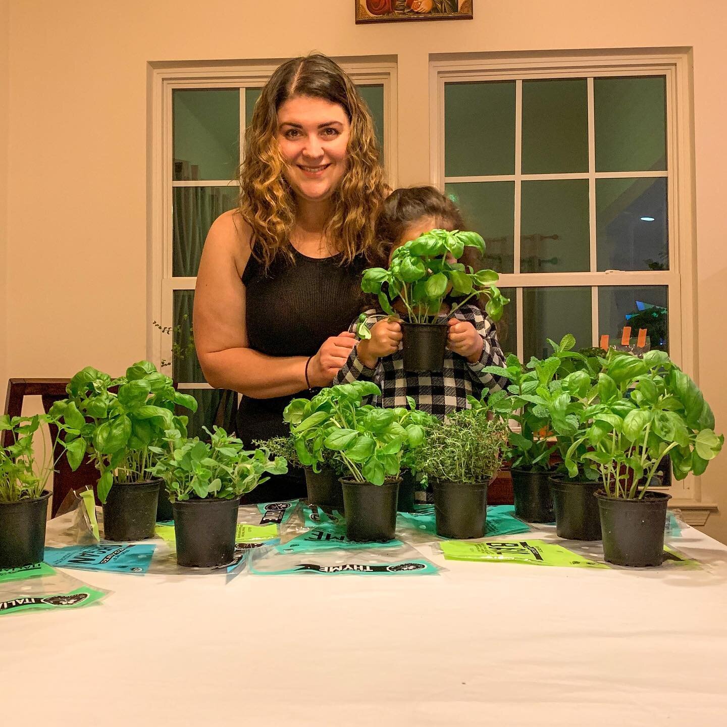We love our indoor garden and we are about to plant a few more for the season🪴🪴🪴 There is just something so therapeutic about the process and caring for plants in general! Aside the fact that they are so heathy and taste amazing 😋 they also look 