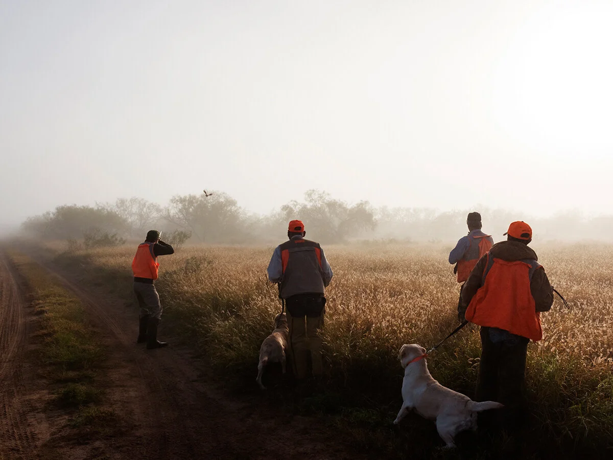   Foggy Morning in the Field  