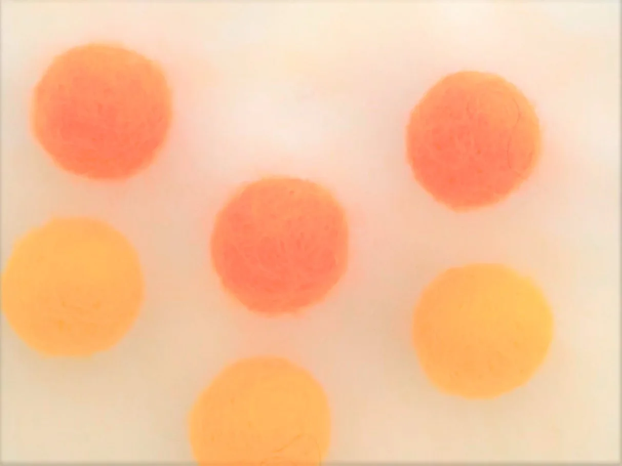 Sweet Orange Carrot