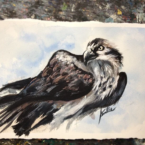 Eagle Eye: colour and light study - acrylic paint on watercolour paper