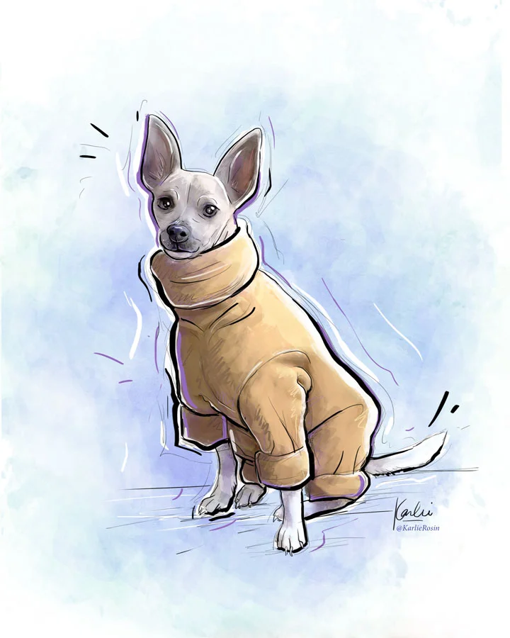 KarlieRosinIllustration_Pip_v004.jpg