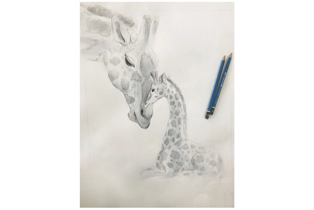 Giraffe: pencils and watercolours on watercolour paper