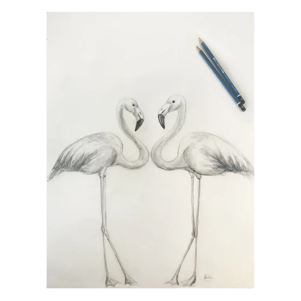 KarlieRosin_Flamingo_Duo_Framed_002-web.jpg