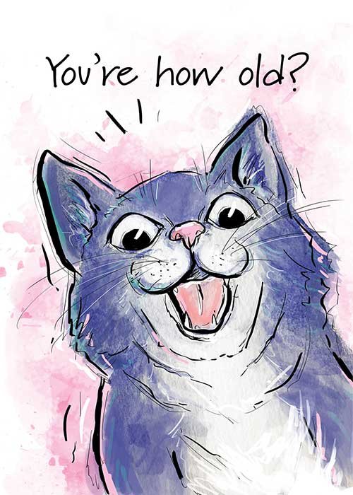 Karlie-rosin-pawsitive-wishes-greeting-cards-cat-surprised-birthday.jpg