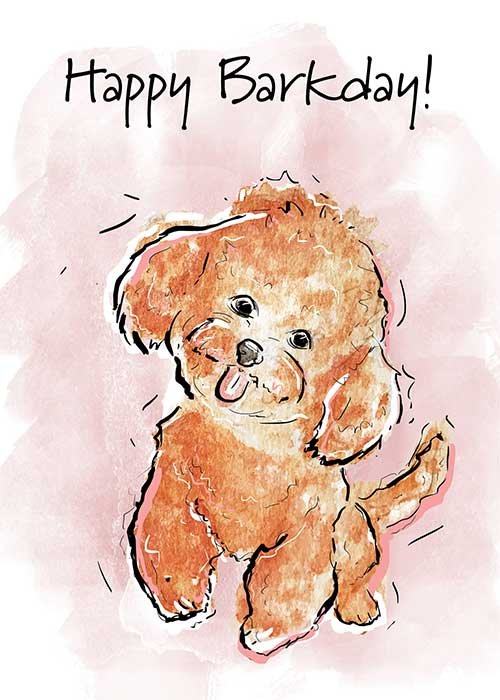 Karlie-rosin-pawsitive-wishes-greeting-cards-mini-poodle-birthday.jpg