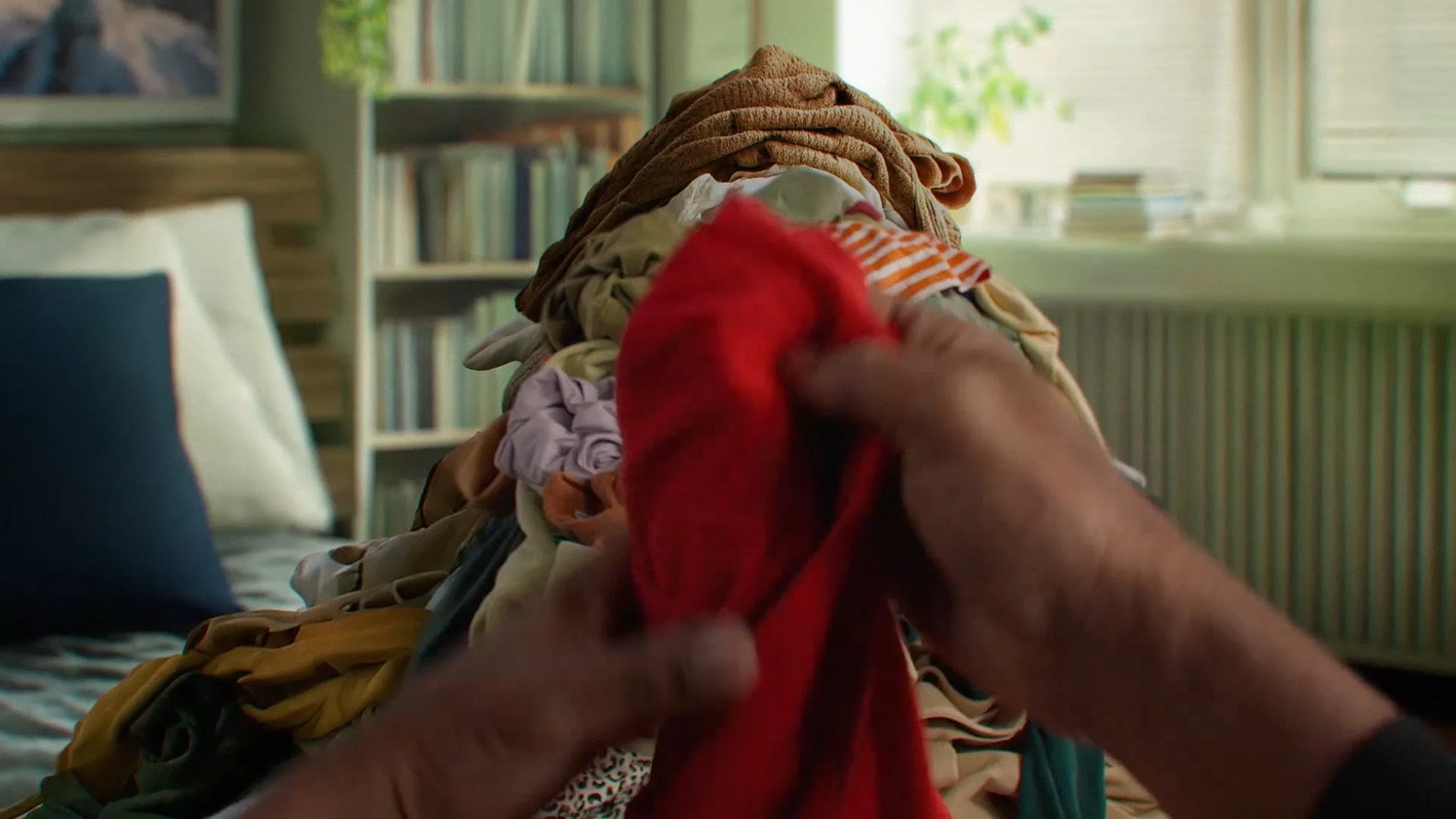 WSL_Mount_Laundry_15s_16x9_Facebook_Youtube_h264 copy.jpg