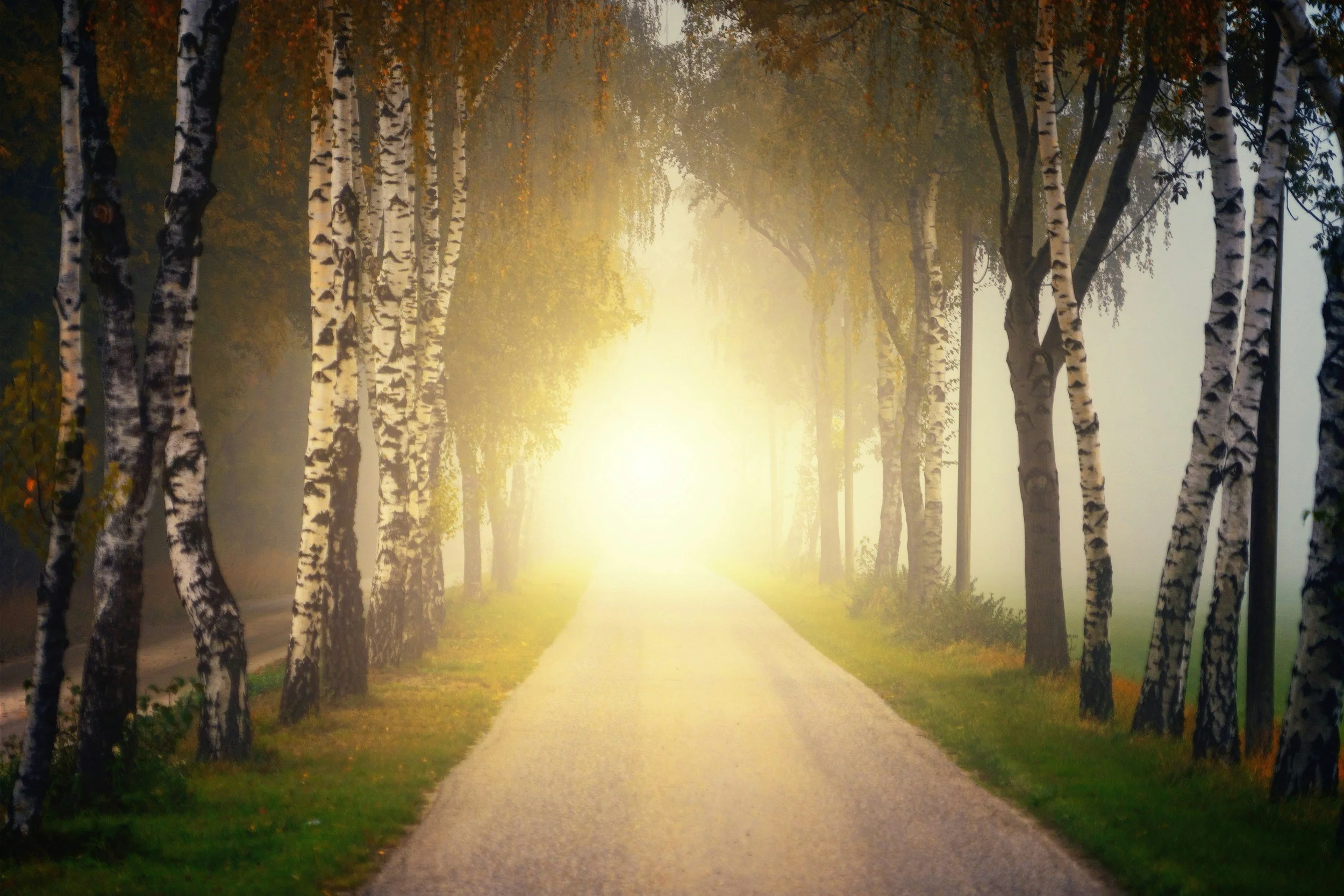  Moving Beyond “Just Pray About It”: Overcoming Spiritual Bypassing for Real Healing