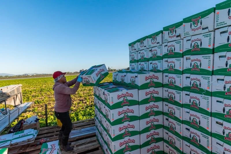 Hitchcock Farms Shipping and Distribution