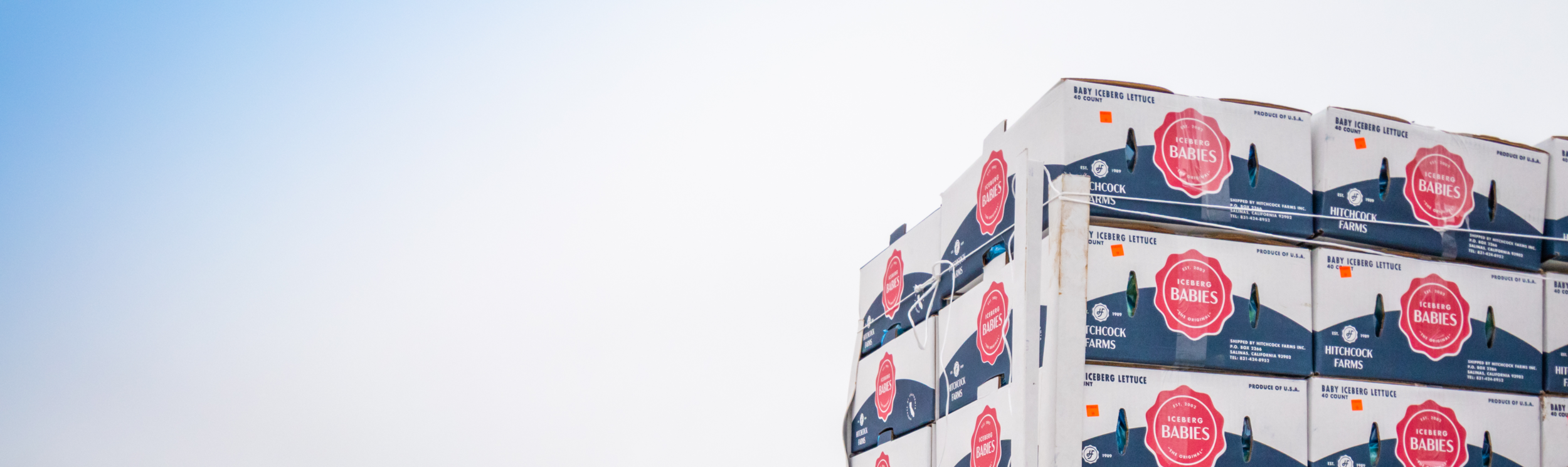 Where to Buy Banner.png