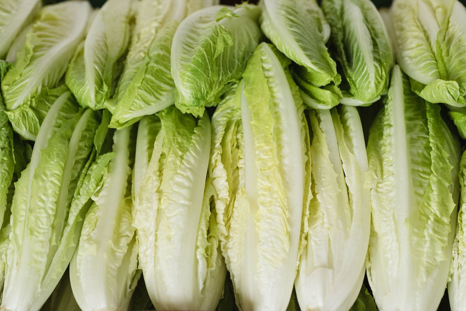 How to Cut Romaine Lettuce for Salad - Your Home, Made Healthy