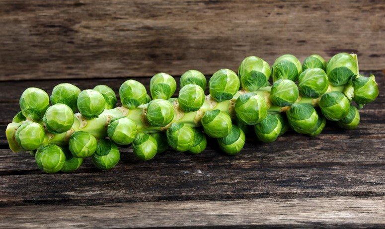 Brussels Sprouts on the Stalk: How to Prepare, Cook & Enjoy — Hitchcock  Farms