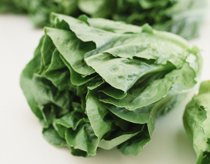 Can This Paper Help Keep Your Lettuce Fresh for More Than a Week