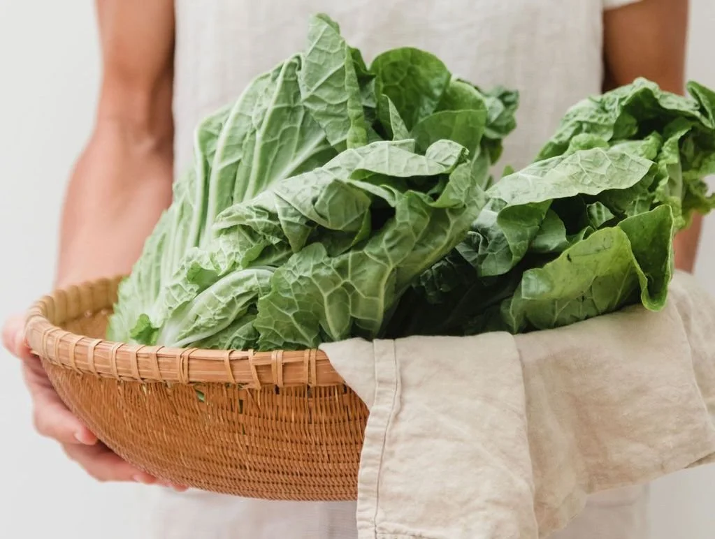 What Is Napa Cabbage? A Tastefully Satisfying Guide