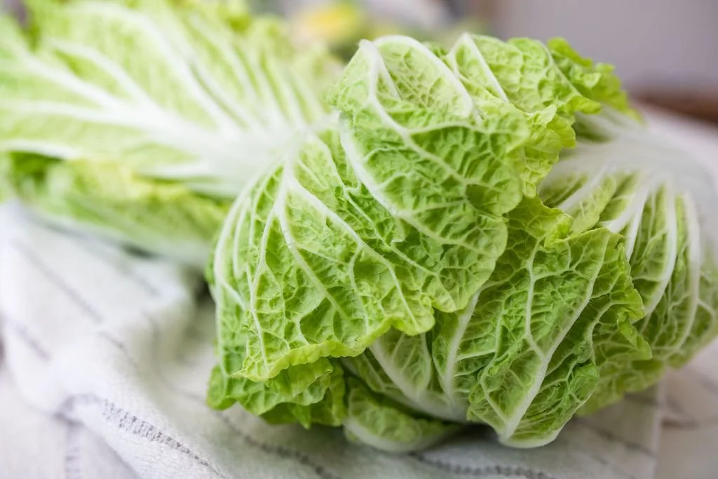 Where Can You Buy the Freshest Napa Cabbage?