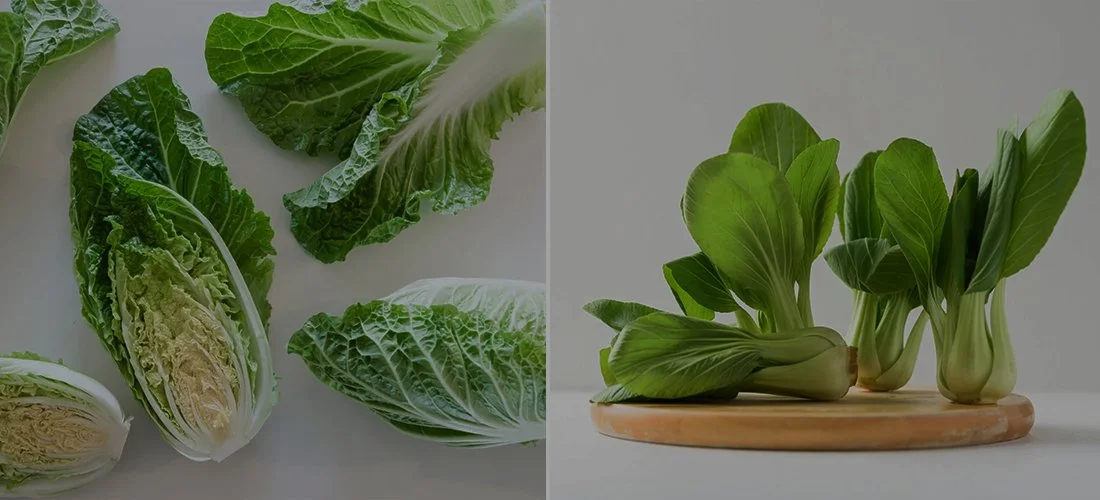 Napa Cabbage vs. Bok Choy: What Are the Differences?