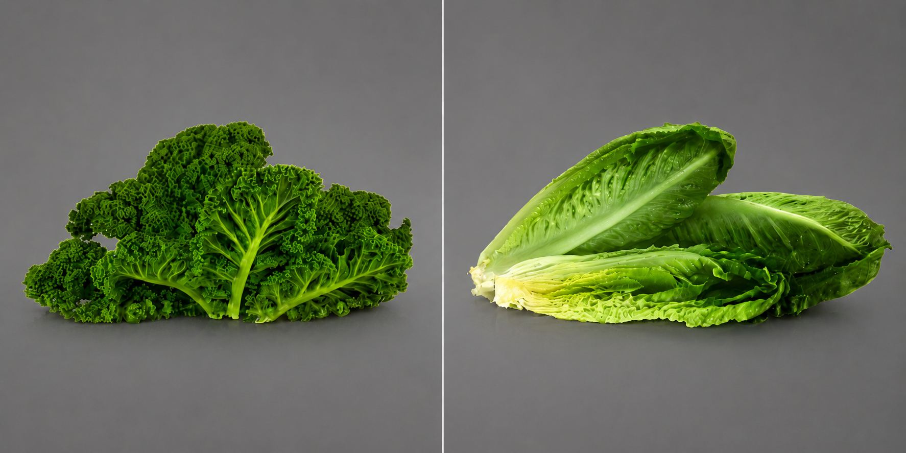 Kale and Hearts of Romaine: A Healthy Competition