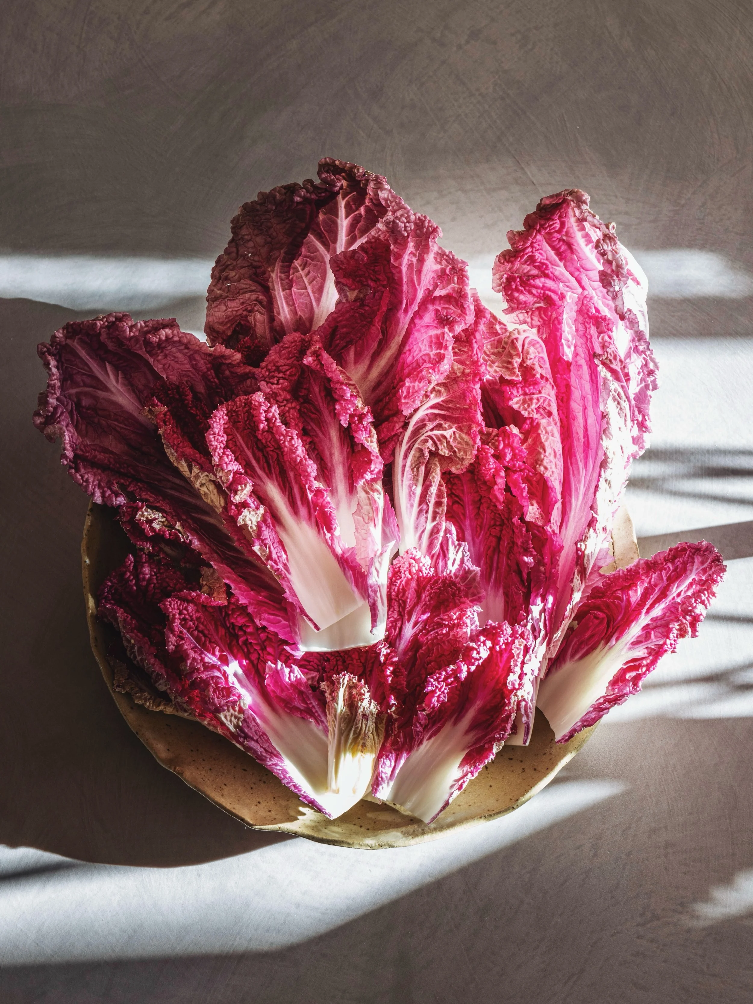 Purple napa cabbage - your salad&rsquo;s new main character 💜✨ She&rsquo;s bold, she&rsquo;s bright and she&rsquo;s here to steal the spotlight 💁&zwj;♀️

#hitchcockfarms #farming #salad #purplenapacabbage #saladrecipes