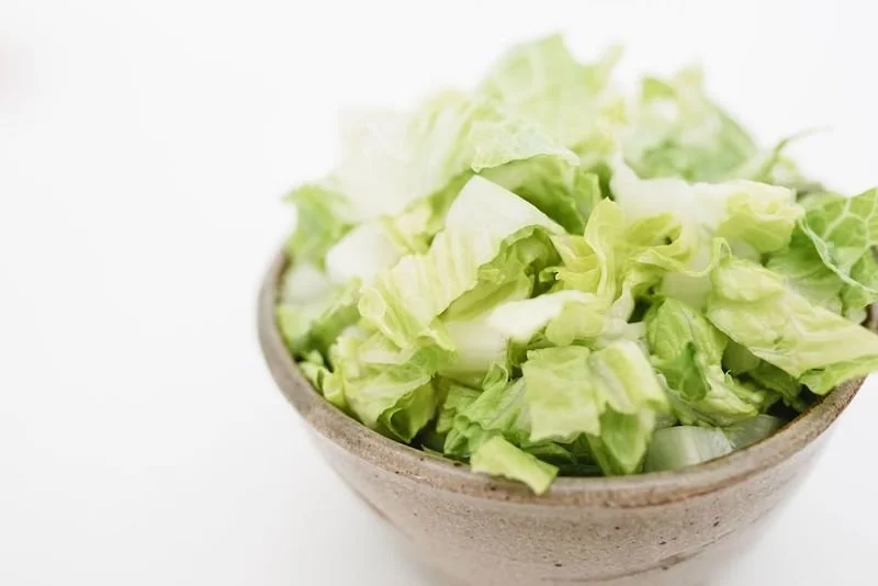 How to Shred Lettuce in a Food Processor, Shredded Lettuce