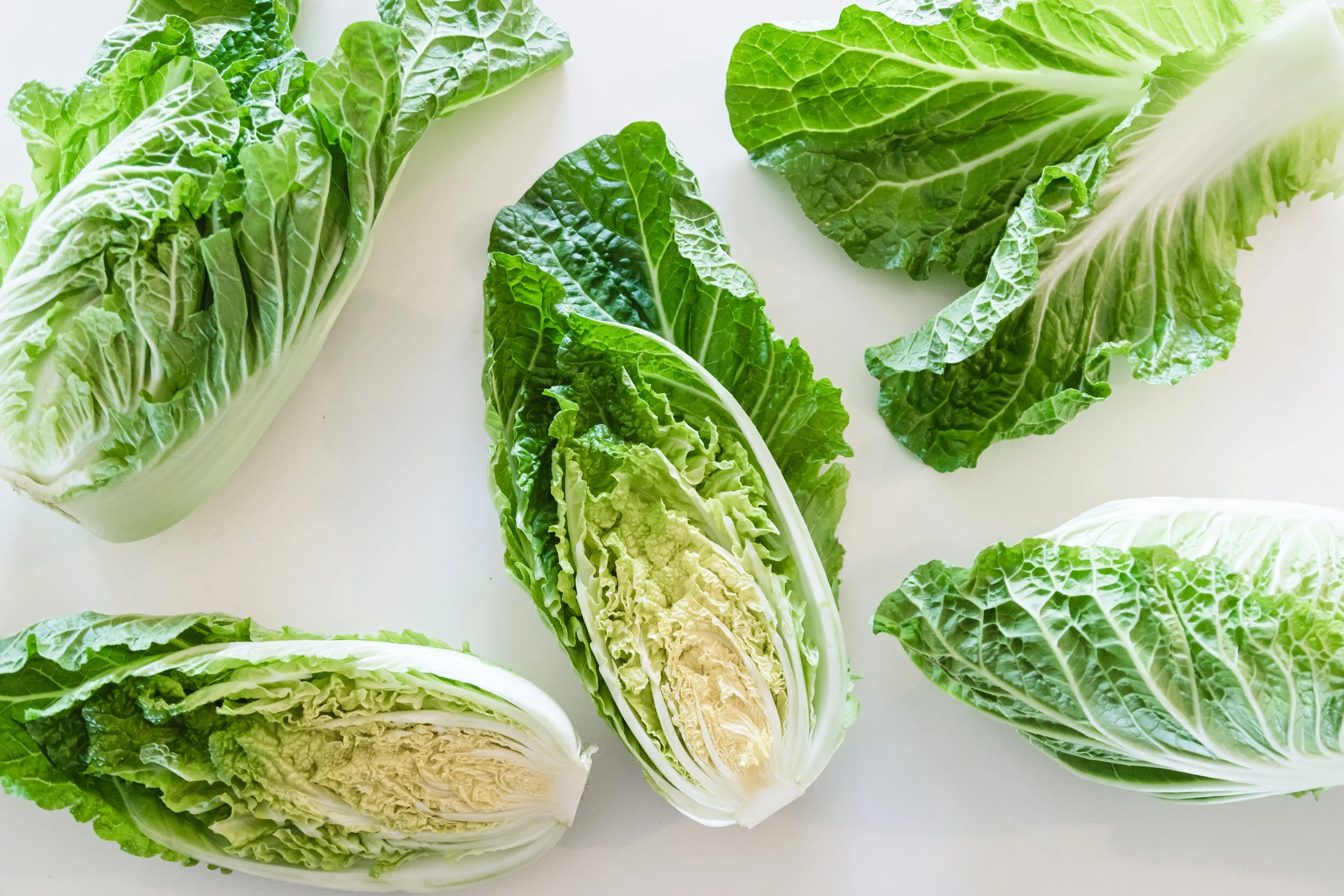 What Is Napa Cabbage? A Tastefully Satisfying Guide — Hitchcock Farms