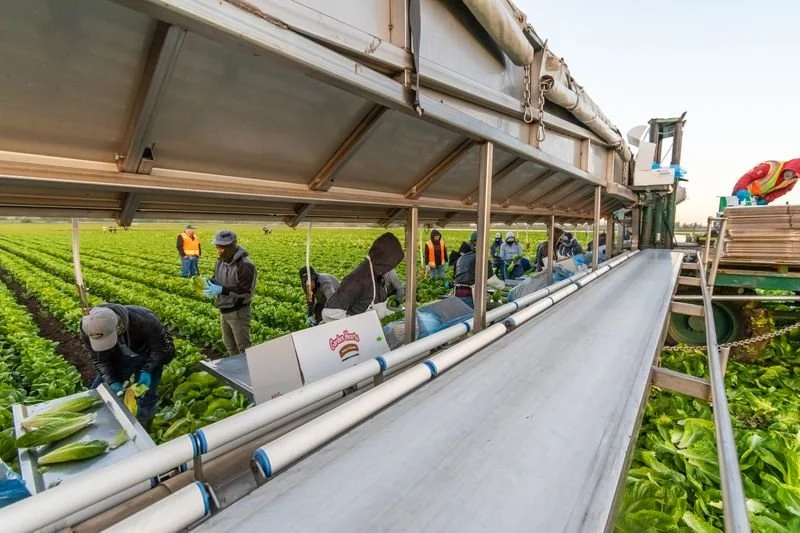 Hitchcock Farms sustainably grown produce.jpeg