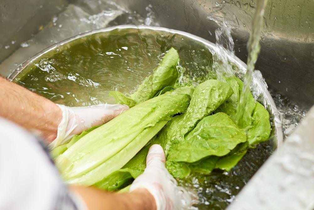 How to Wash, Prep and Store Romaine Hearts — Hitchcock Farms