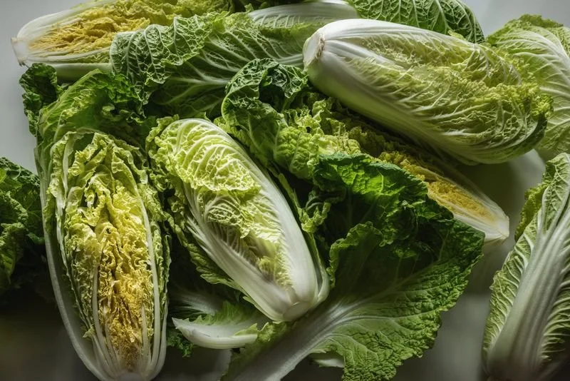 Hitchcock Farms Napa Cabbage