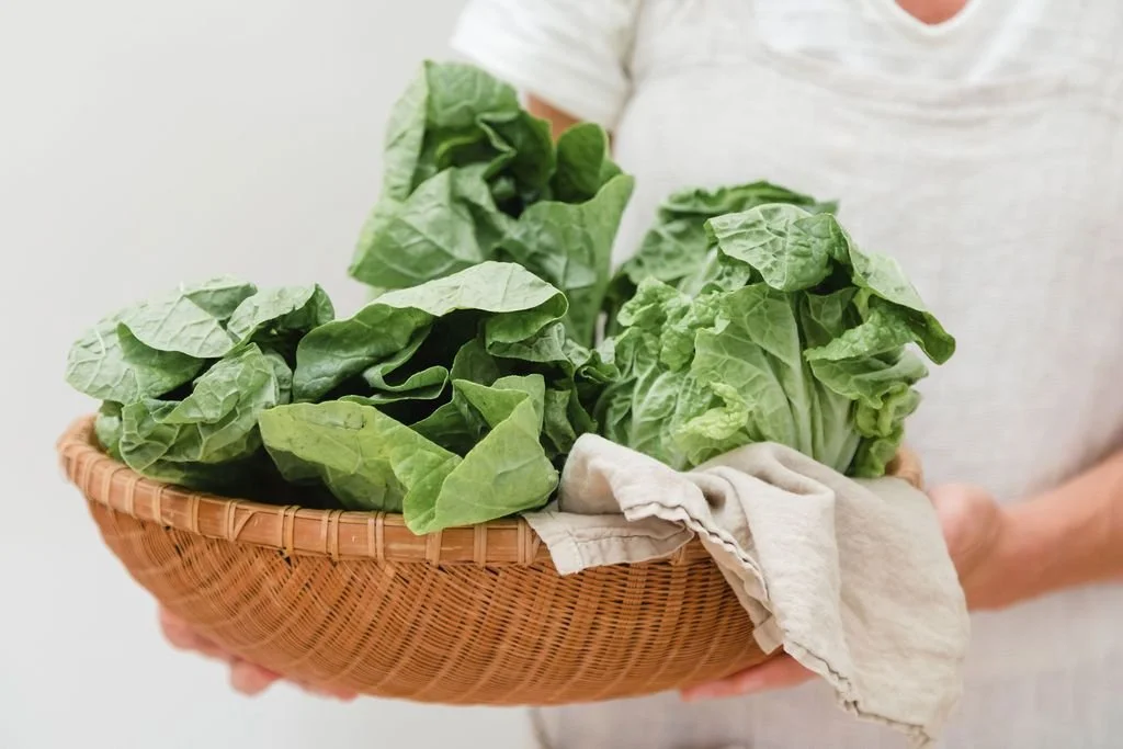 How to Shred Lettuce in a Food Processor