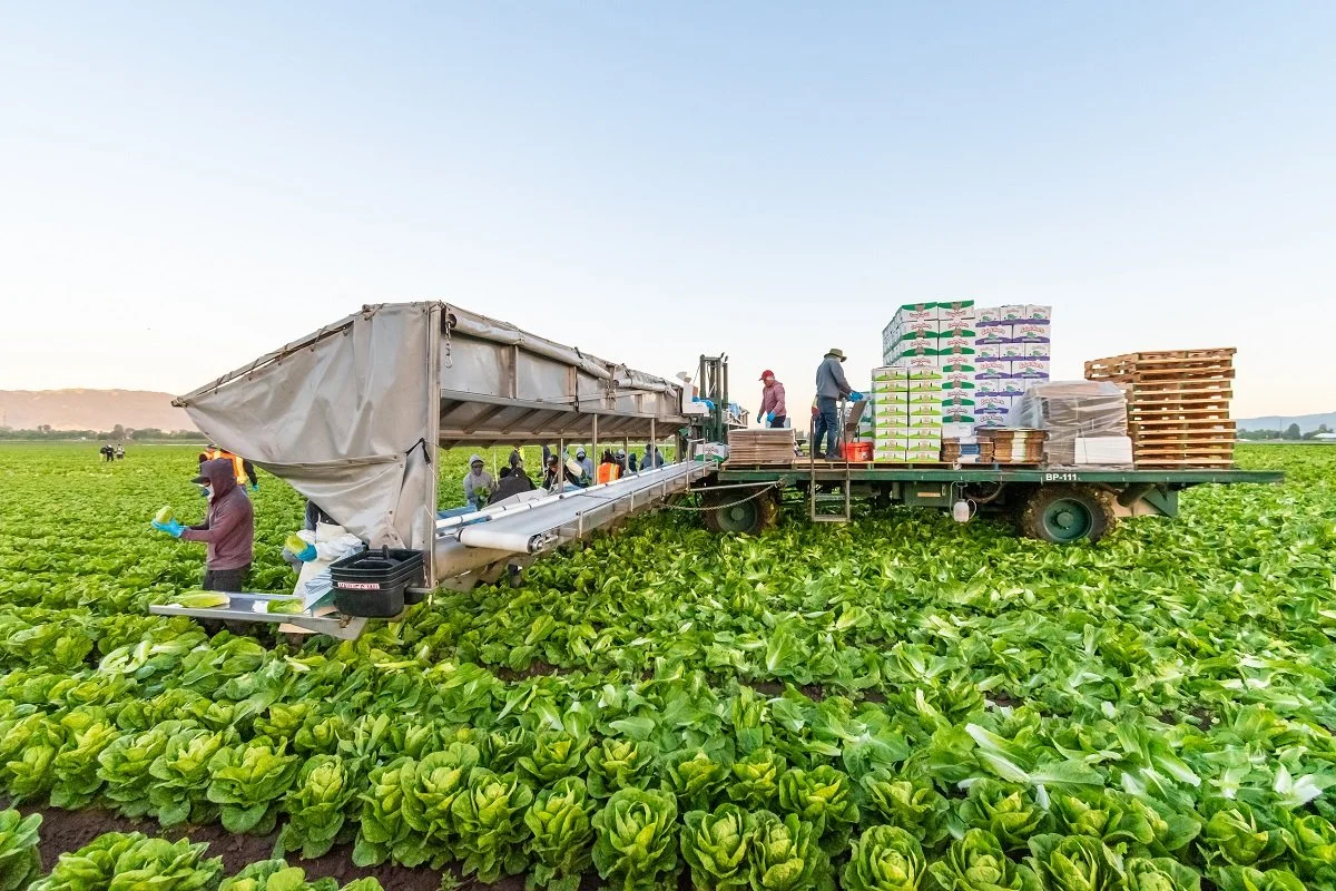 Hitchcock Farms sustainable farming.jpg