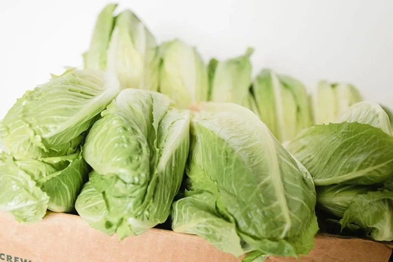 Romaine Lettuce Hitchcock Farms