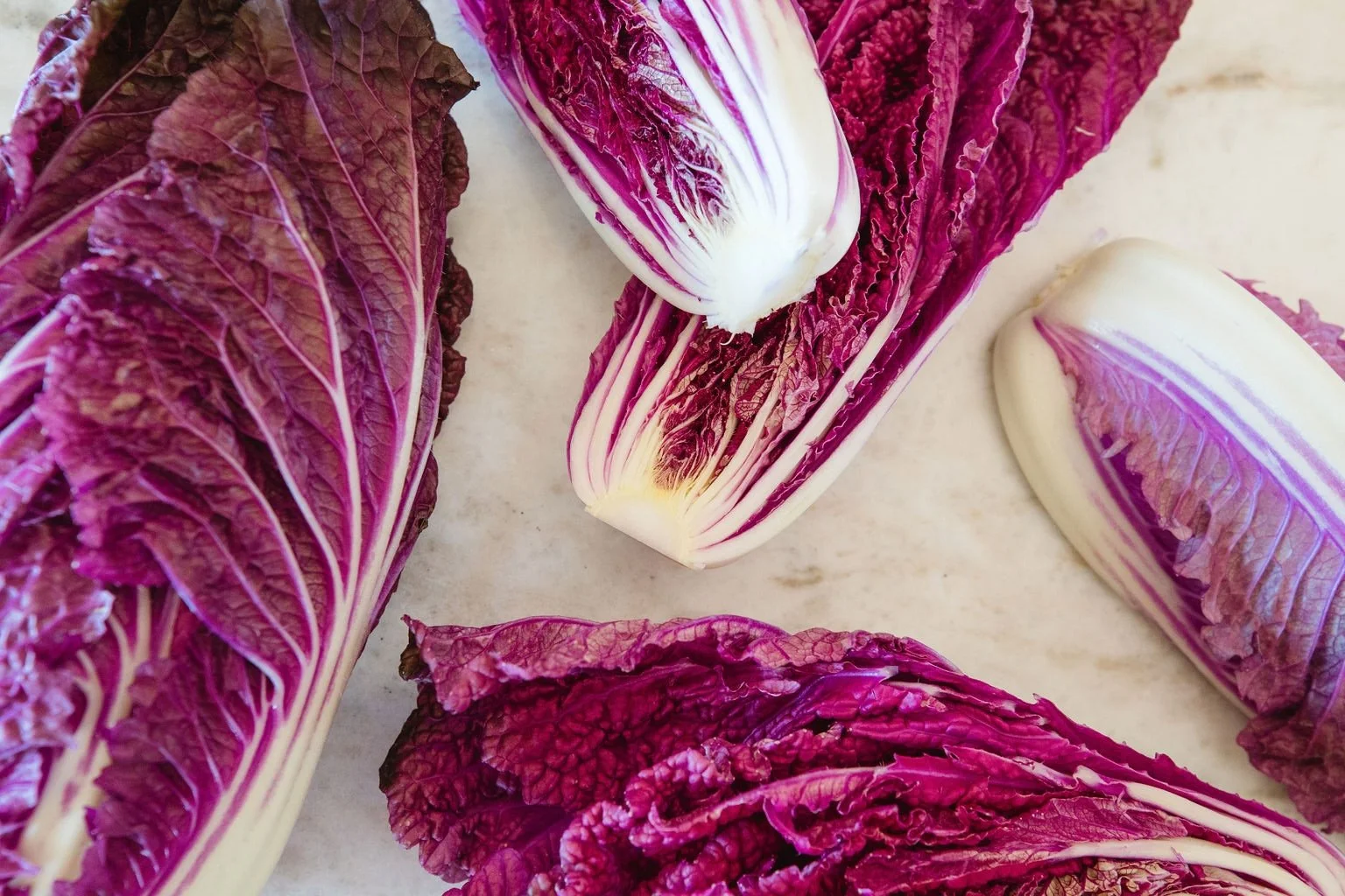 HitchcockFarms_November-6600.jpg