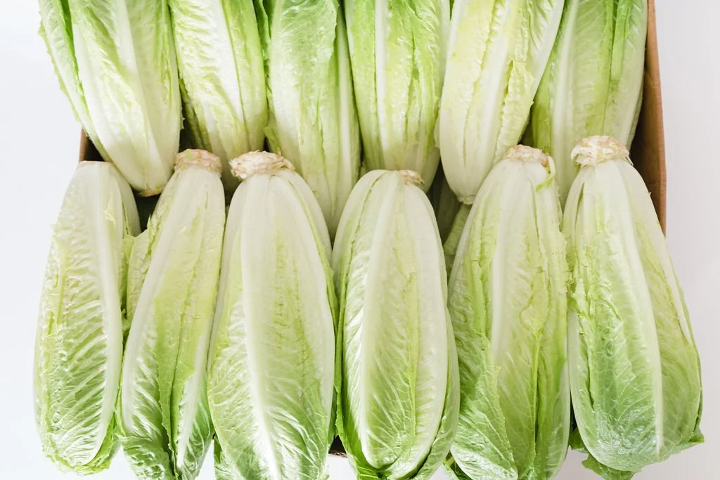 Hitchcock Farms romaine hearts