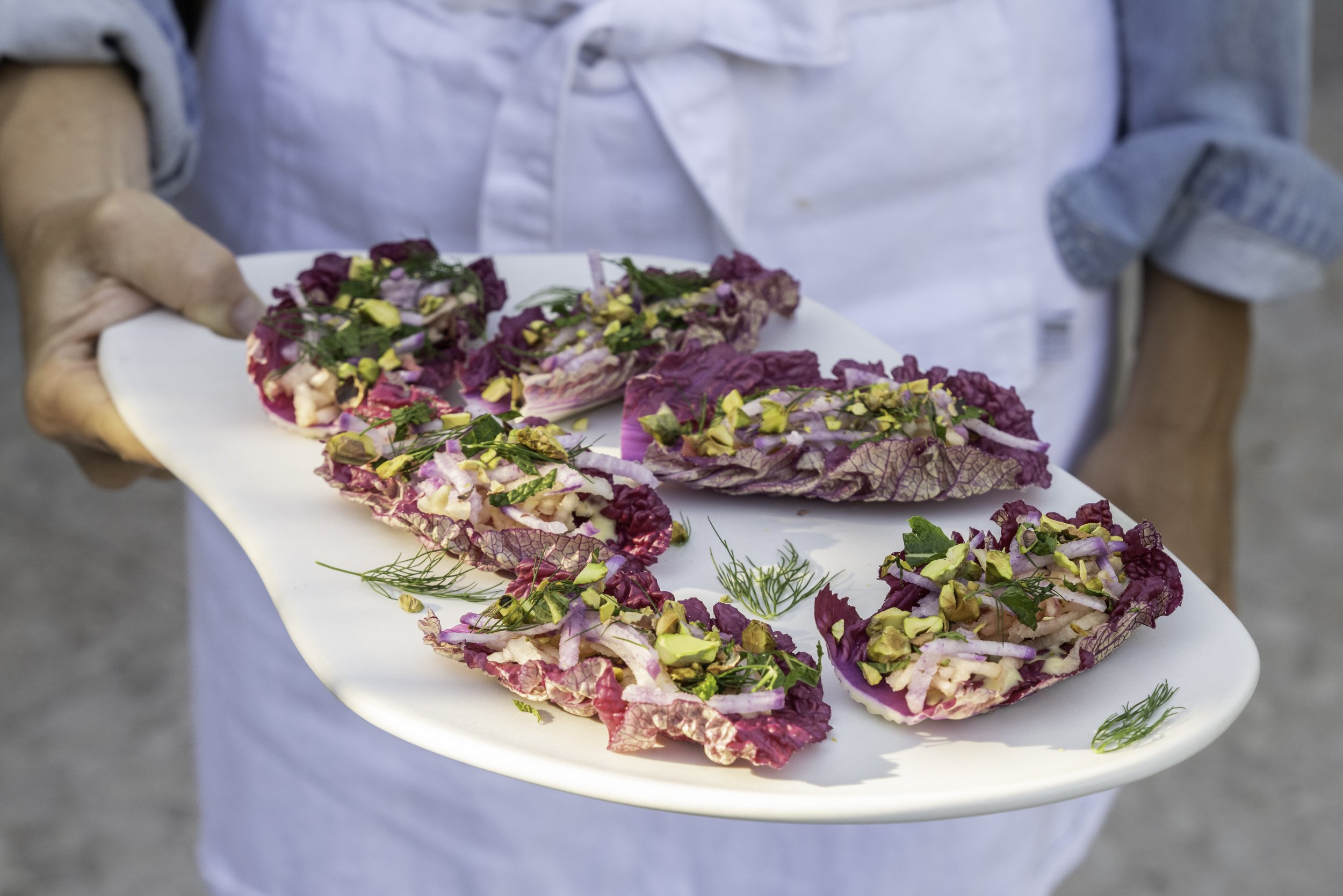 Purple Napa Cabbage appetizer hitchcock farms
